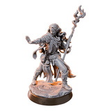 Miniaturas Forja Da Fênix Feiticeira Rpg D&d Tabuleiro