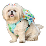 Mochila Pet Bolsa Cachorros Passeio Azul Viagem Petjr