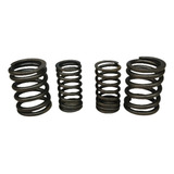 Molas Cabeçote Fazer Lander Teneré 250 2004 A 2015 Original