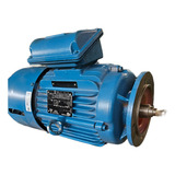 Motofreio Trif. Weg W22 Premium 2cv 220/380v Ipw55 6p Din