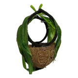 Ninho Bola C/mato Para Coleiro - Fibra De Coco Picotada