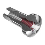 Niple Dt Swiss Hidden 2.0 X 12 30-275 Prata Niplo Invertido
