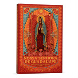 Nossa Senhora De Guadalupe - Livro Da Minha Biblioteca Católica