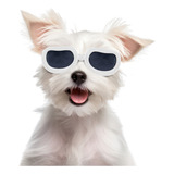 Óculos Para Cães Óculos De Sol De Proteção Uv Para Raças Peq