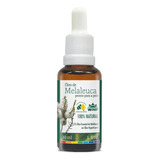 Óleo Essencial De Melaleuca Pronto P/ Uso 30ml Tea Tree Wnf Tipo De Embalagem Frasco