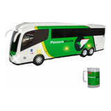 Ônibus Passaro Verde Com Luzes Mp3 Som Bluetooth Radio Usb