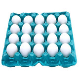 Ovos Branco Shida Embalagem 20 Un