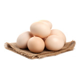 Ovos De Pato Comum 12 Unidades.