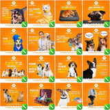 Pack 100 Artes Para Petshop Pet Shop Editáveis Corel Cdr