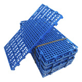 Pallet Estrado Plástico 2,5 X 25x50 Cor Azul Multiuso