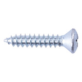Parafuso Auto Atarraxante Cabeça Oval Phillips 4,2x16 500