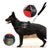 Peitoral Canil Com Bolso Guia Reforçado Cães Médio Grandes