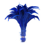 Pena Rabo De Galo Colorido Artesanato Carnaval 30-40 Cm 114 Cor Azul Royal