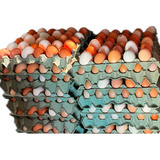 Pente Com 30 Ovos Caipira(frete Retirar Local)