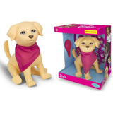 Pet Da Barbie Cachorro Taffy Com Kit Veterinario Pupee 1250