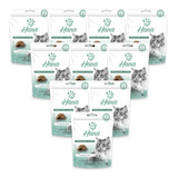 Petisco Gatos Adultos 10 Un Sachê Catnip Cat Sensations Hana