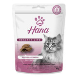 Petisco Snack Hana Gato Castrado Adulto 60g Kit 24un