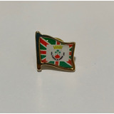 Pin Da Bandeira De Campos Do Jordão