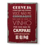Placa Decorativa Cerveja Como São As Coisas - 30x40 Cm