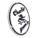 Placa Decorativa Charlie Brown Junior Logo 3d Relevo P233