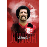 Pôster - Junior - Maestro - Flamengo - Decor - 33 Cm X 48 Cm