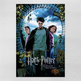Poster 60x90cm Harry Potter - Filmes 85