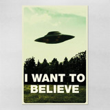 Poster 60x90cm Serie Arquivo X Files I Want To Believe