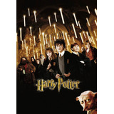 Poster Cartaz Harry Potter E A Câmara Secreta D - 60x90cm