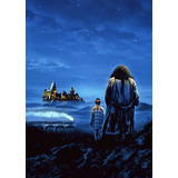 Poster Cartaz Harry Potter E A Pedra Filosofal C - 40x60cm