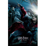 Poster Cartaz Harry Potter E O Cálice De Fogo C - 40x60cm