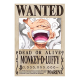 Poster One Piece Cartaz Procurado Wanted Papel Especial A4