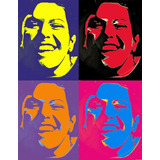 Poster Pop Art - Elis Regina - Art Decor 33 Cm X 48 Cm 