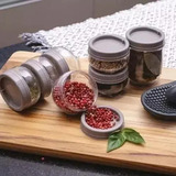Pote Plástico Sanremo - Kit Com 4 Unidades