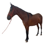 Potro Mangalarga Marchador