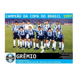 Quadro 20x30: Grêmio Tri Campeão Da Copa Do Brasil - 1997