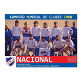 Quadro 20x30: Nacional Tri Campeão Mundial Interclubes 1988