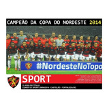 Quadro 20x30: Sport Tri Campeão Da Copa Do Nordeste - 2014