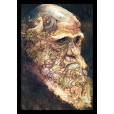 Quadro Arte A Origem Das Espécies Charles Darwin 42x29cm