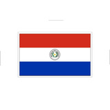 Quadro Decorativo Bandeira Do Paraguai Moldura Branca Q01