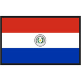Quadro Decorativo Bandeira Do Paraguai Moldura Grande G001