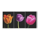 Quadro Decorativo Trio Flores Floral Tulipa Colorida 120x60