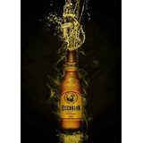 Quadros Decorativos Placas Para Bar Cerveja Long Neck
