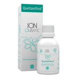Quellanthus Gotas Sublingual 50ml Fisioquântic Sabor Neutro Floral Líquido