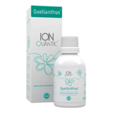 Quellanthus Gotas Sublingual 50ml Fisioquântic