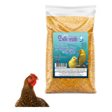 Quirela De Milho Fina 5kg Quirera Pintinho Galinha Aves +