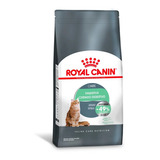 Ração Royal Canin Cuidado Digestivo Para Gatos Adultos