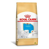 Ração Royal Canin Maltês Para Cães Filhotes 1 Kg