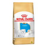 Ração Royal Canin Puppy Maltês Cães Filhotes 2,5kg