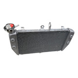 Radiador Agua Yamaha Mt-03 Mt03 2016/2022 