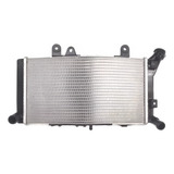Radiador F 850gs F 750 Adv F850 750gs Original Bmw